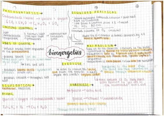 Fun Facts About Photosynthesis and Glucose: Why Light, CO2, and Oxygen Matter!