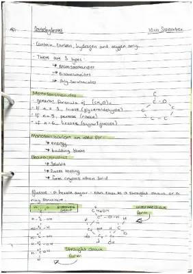 Carbohydrates and Polysaccharides: Fun Biology Notes for Kids!