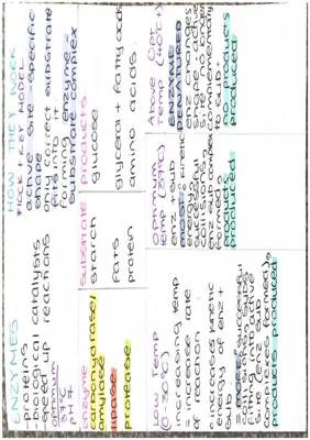 Ccea biology gcse unit 1 digestion and enzyme action