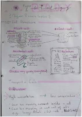 GCSE Biology Paper 1 and 2 Fun Topics: Active Transport and Enzymes