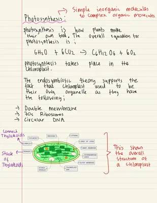 Understanding Photosynthesis: Diagram, Steps, and Reactions