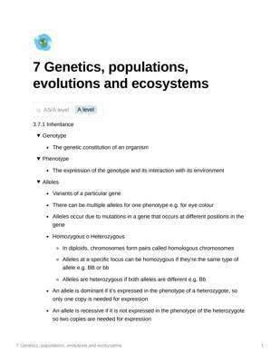 Fun A-Level Genetics Revision Notes PDF: Free Download!