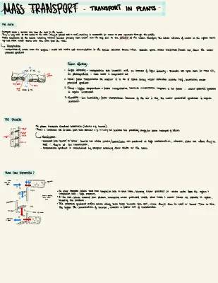 Mass Transport in Plants A Level Biology: Xylem, Phloem, and Transpiration