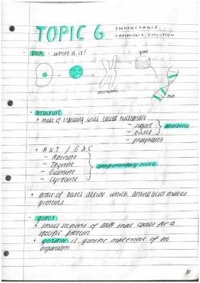 Cool DNA and Protein Synthesis Fun Facts for Kids