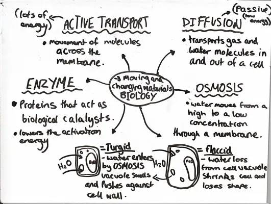 Biology revision-3 moving and changing materials 