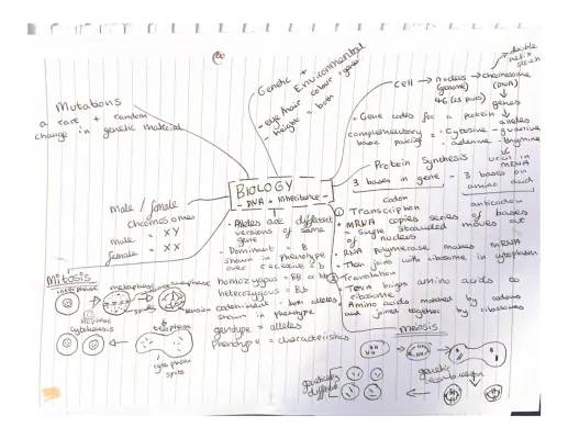 GCSE Biology DNA and Inheritance Mind Map - Free PDF, Genetics Questions & More