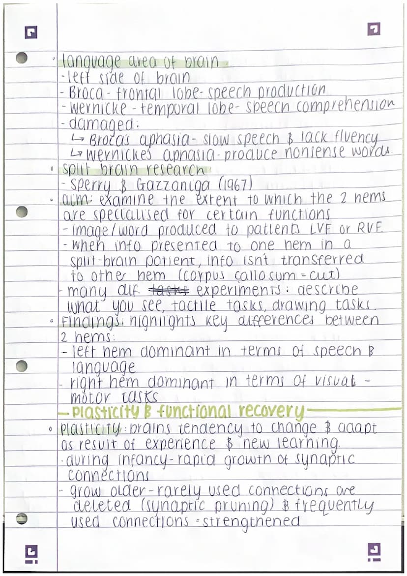 □ biopsychology
the nervous system:
a speciaused network of cells & our primary
internal communication system.
4.
G
12 main jobs:
info
- to 