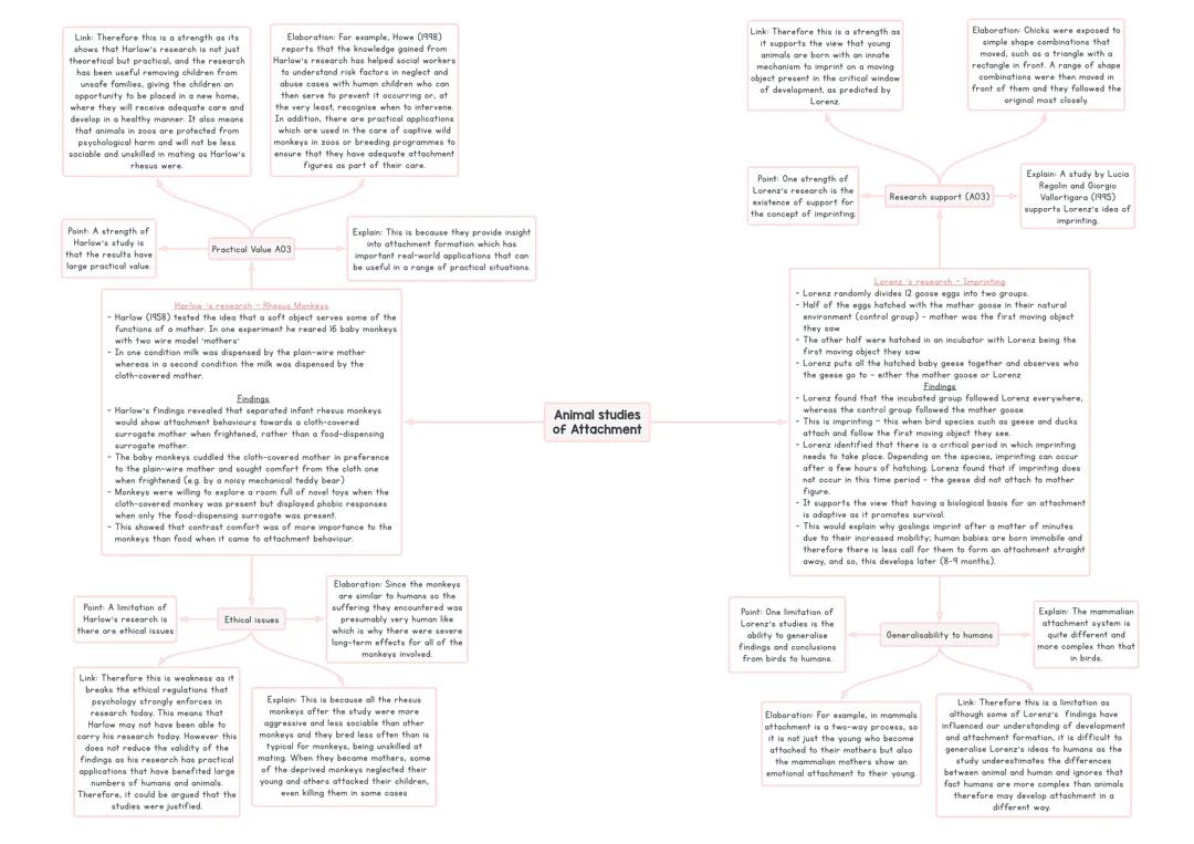 Key Animal Studies on Attachment: Harlow and Lorenz