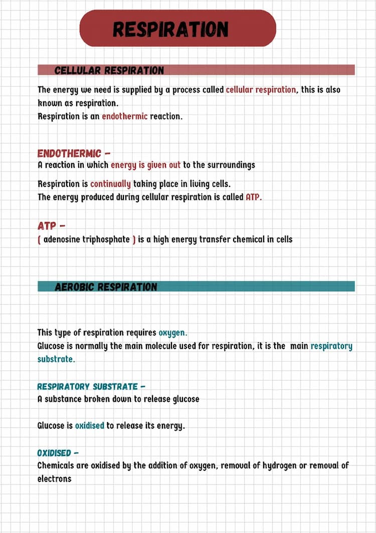 Know Respiration  thumbnail
