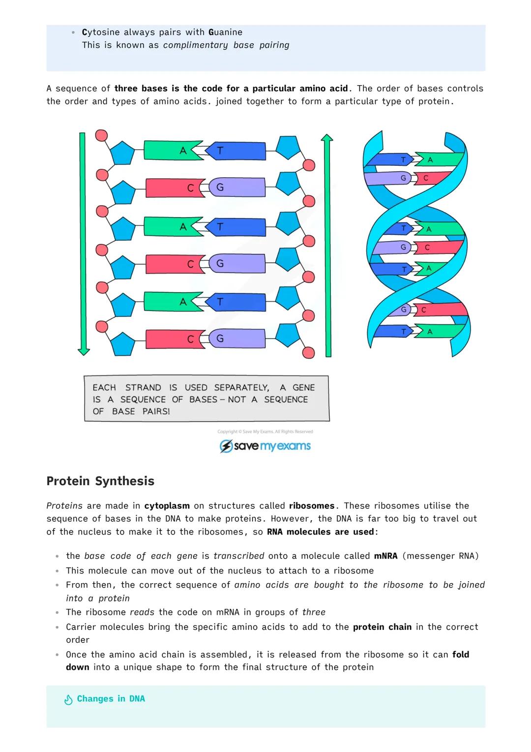 # 1.6.1 Reproduction

Biology MOC

## Sexual and Asexual Reproduction

Reproduction is important for all spices to thrive. There are two typ