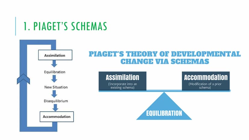 KEY THEORISTS UNIT 1 INDEX
Intellectual Development - green headings
1. Jean Piaget - cognitive stages of development and schemas (assimilat