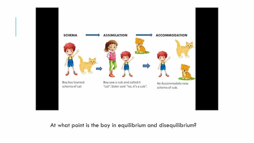 KEY THEORISTS UNIT 1 INDEX
Intellectual Development - green headings
1. Jean Piaget - cognitive stages of development and schemas (assimilat