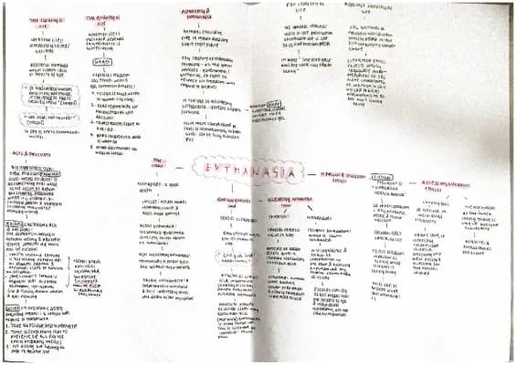 Know Euthanasia, kantian ethics, business ethics mindmap thumbnail