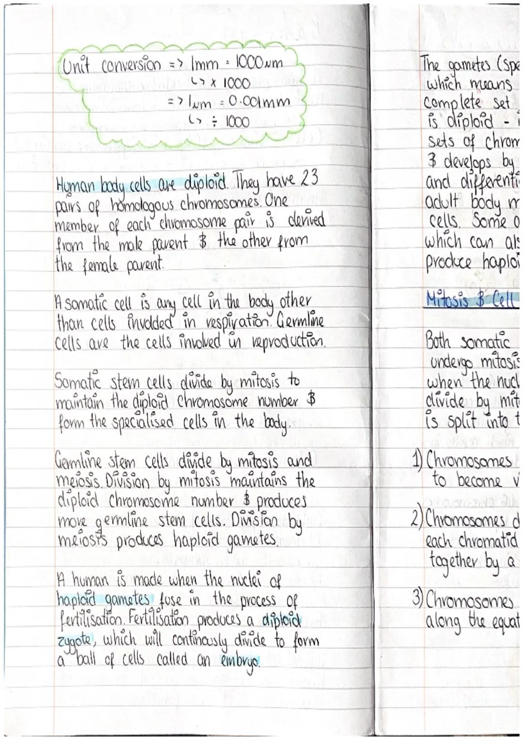 Bahrain S
A human is a multicellular organism
made from animal cells.
Cell -> Tissue -> Organ -> System
Animal Cell ultra structure
Cell all