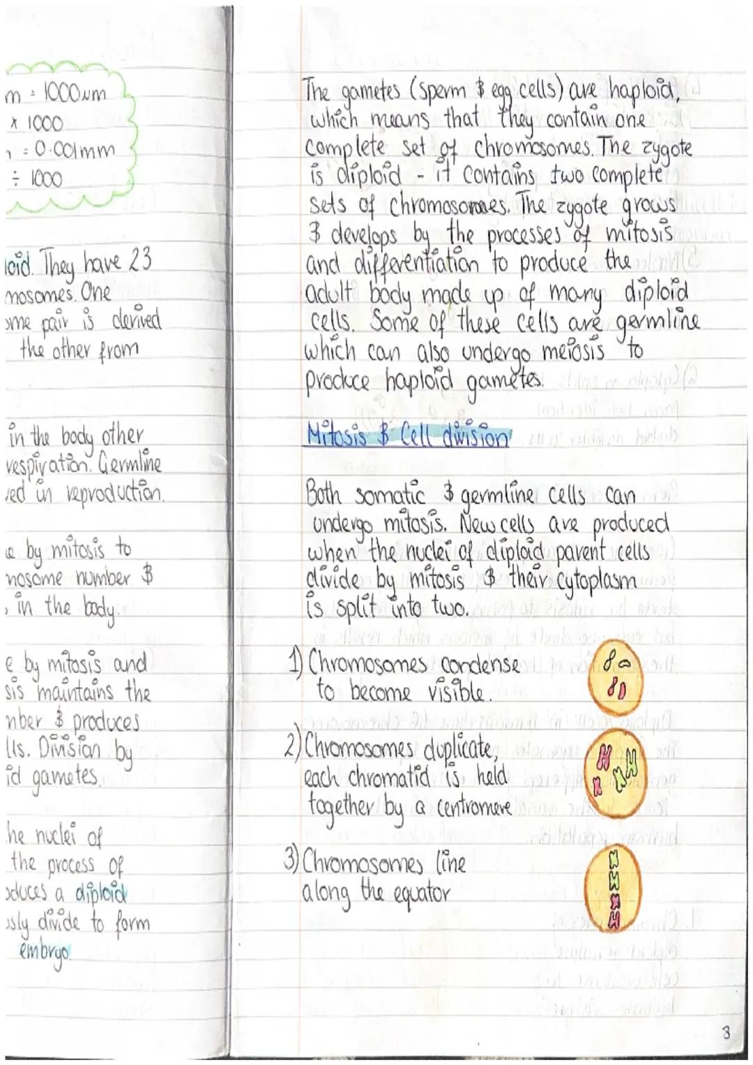 Bahrain S
A human is a multicellular organism
made from animal cells.
Cell -> Tissue -> Organ -> System
Animal Cell ultra structure
Cell all