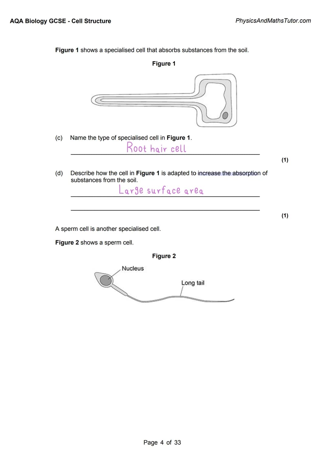 1
AQA BIOLOGY:
Cell Structure
Exam questions +
answered
Answer
Key info
Alternate answers
misbahhussain 1
AQA BIOLOGY:
Cell Structure
Exam q