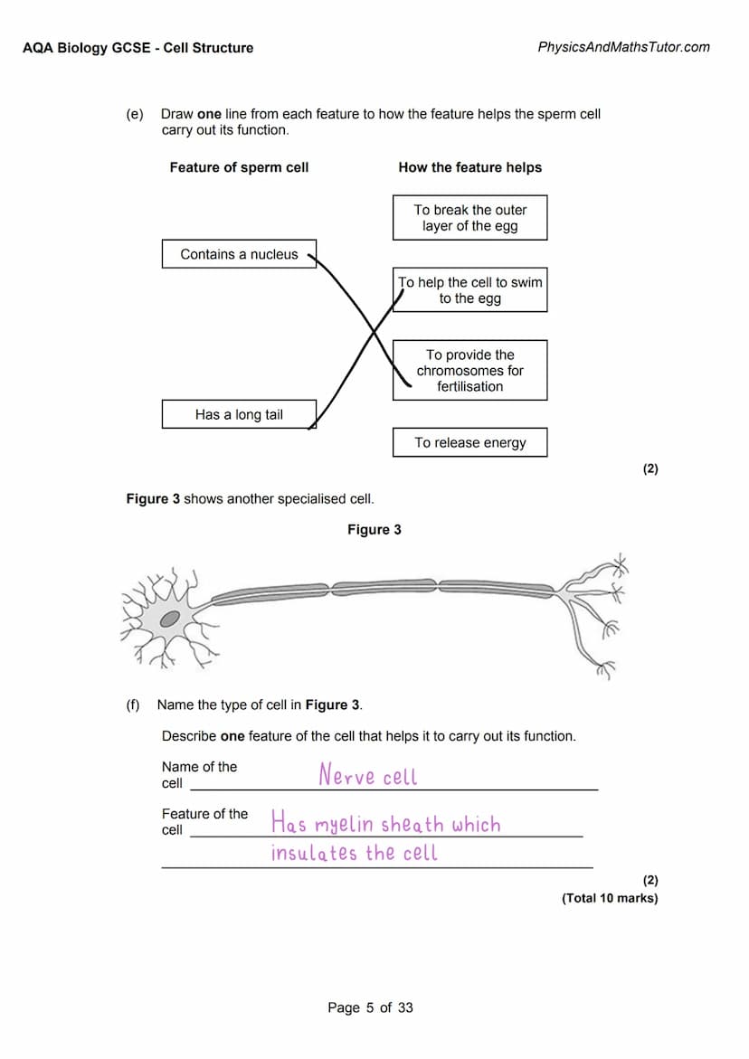 1
AQA BIOLOGY:
Cell Structure
Exam questions +
answered
Answer
Key info
Alternate answers
misbahhussain 1
AQA BIOLOGY:
Cell Structure
Exam q