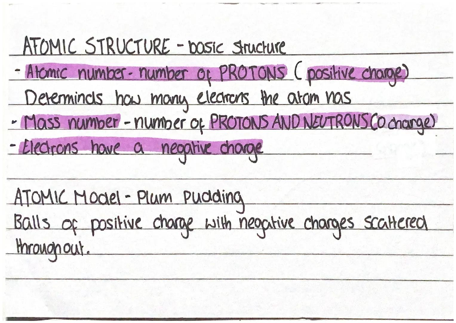 ribsomes
animals
Plant
special isation +
•many cell types can
differentite throughout
a plants life
nerve
differentation
xylem cells
bacteri