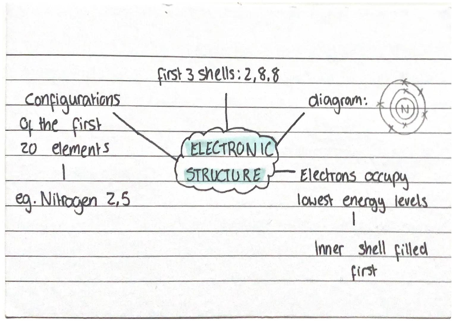 ribsomes
animals
Plant
special isation +
•many cell types can
differentite throughout
a plants life
nerve
differentation
xylem cells
bacteri