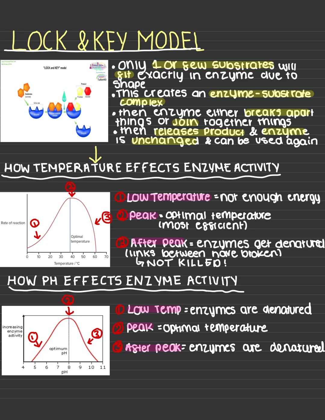 WARNING:
This may not include all
content as these notes
were made for GCSEs
2022, where quite a
Sew topics were
disregarded due to
COVID OR