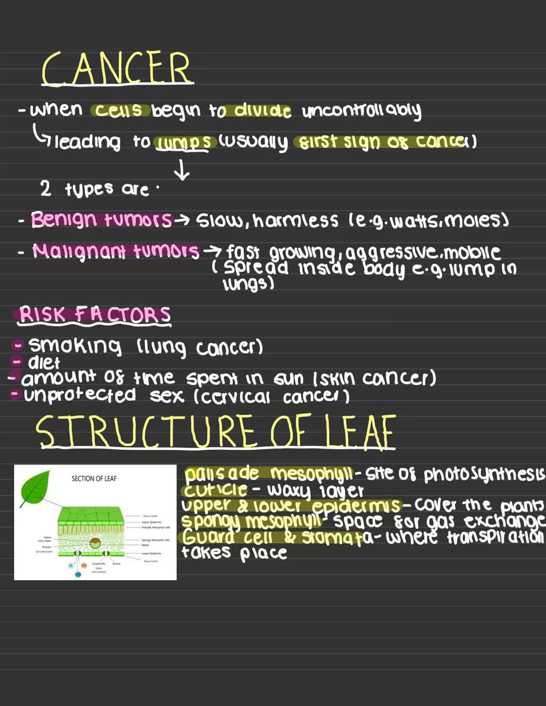 WARNING:
This may not include all
content as these notes
were made for GCSEs
2022, where quite a
Sew topics were
disregarded due to
COVID OR