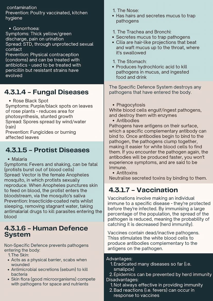4.3
INFECTION
& RESPONSE
4.3.1 - Communicable
Disease
4.3.1.1 - Communicable
(Infectious) Diseases
Pathogens are microorganisms that cause
i