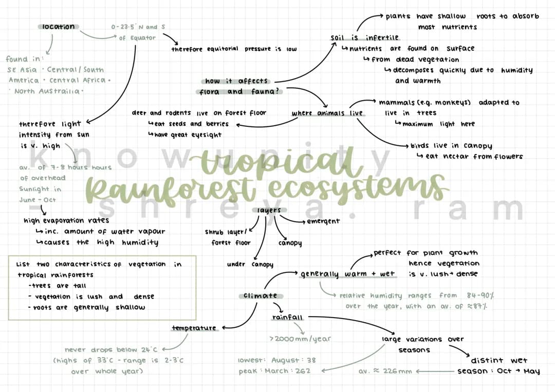tropical rainforest ecosystems 