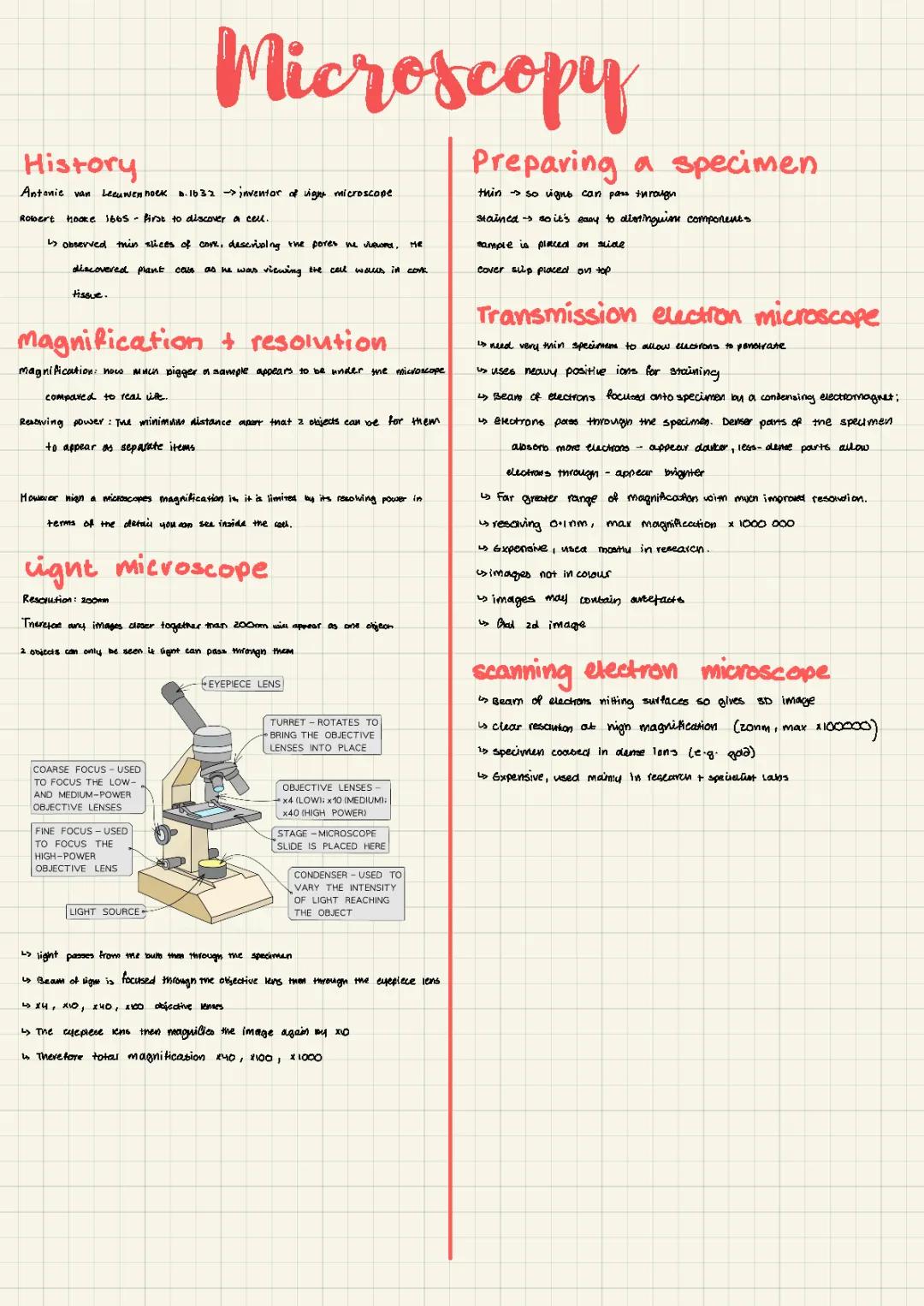 AQA A-Level Biology Microscopy Notes Year 12 PDF - Comparing Microscopes, Light & Electron Microscopes