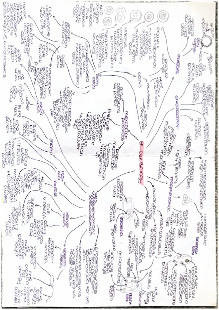 Know GCSE AQA Biology Combined Science Paper 1 B1-B4 Mindmaps thumbnail
