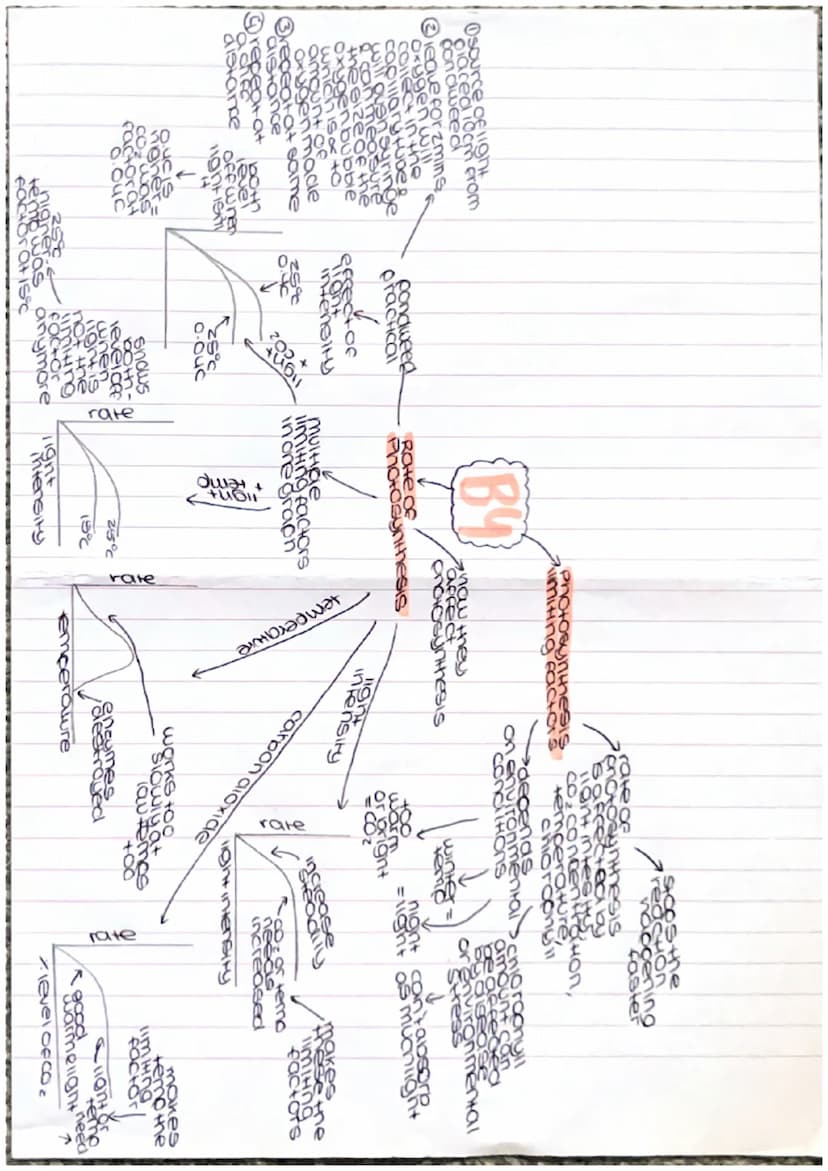 Growthe
Clones
DNA VECHICOtion
grawi
ONG
cell
aes
repicate
23
mitosis Pairs
Arom
contain
gene
de of the
comen
geneHo
foundin
charac
nucleus
