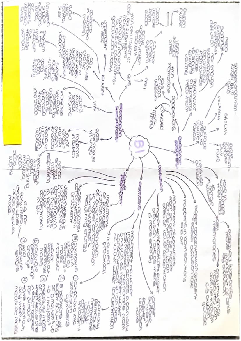 Growthe
Clones
DNA VECHICOtion
grawi
ONG
cell
aes
repicate
23
mitosis Pairs
Arom
contain
gene
de of the
comen
geneHo
foundin
charac
nucleus
