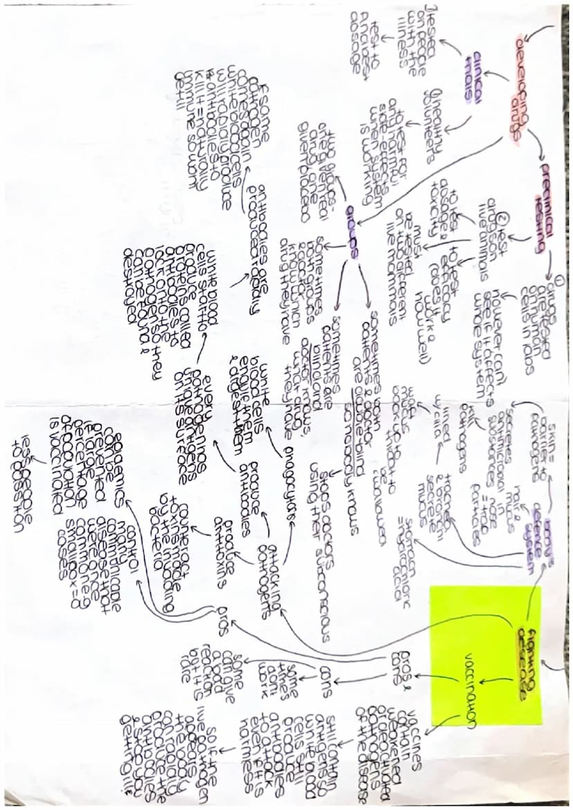 Growthe
Clones
DNA VECHICOtion
grawi
ONG
cell
aes
repicate
23
mitosis Pairs
Arom
contain
gene
de of the
comen
geneHo
foundin
charac
nucleus
