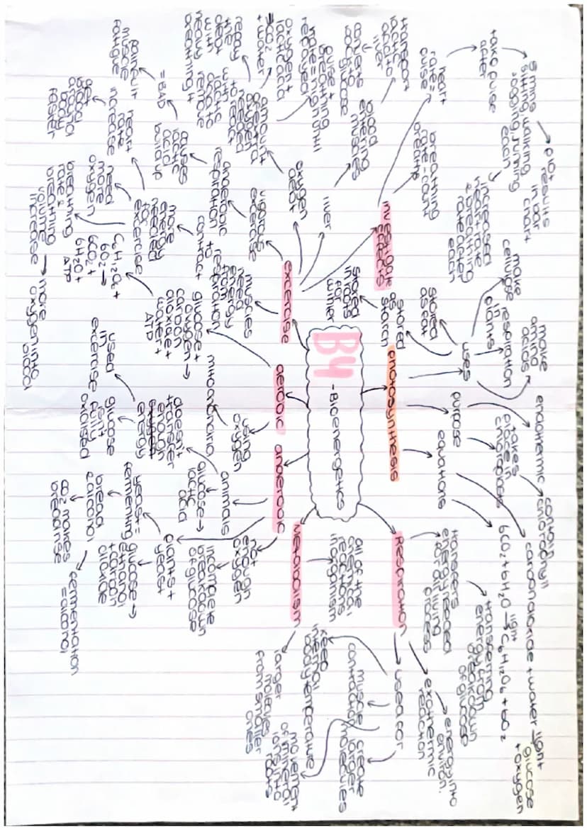 Growthe
Clones
DNA VECHICOtion
grawi
ONG
cell
aes
repicate
23
mitosis Pairs
Arom
contain
gene
de of the
comen
geneHo
foundin
charac
nucleus
