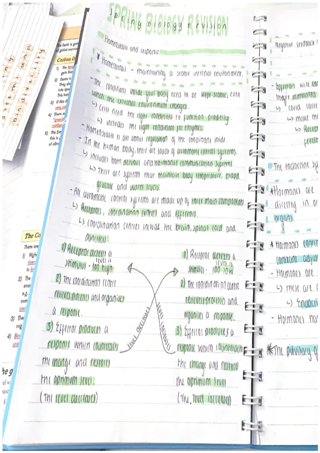 hui
he g
al wa
suse
E
4) Bio
PUP TWater
The Co
There are
2) The
amo
COO
3) The
mig
in lo
8.g.
over
bin diversity
The Earth is get
of global 