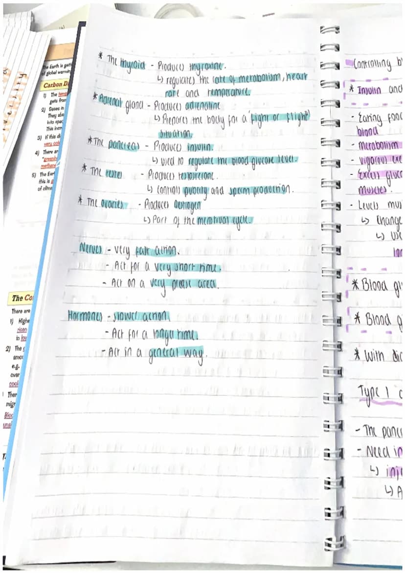 hui
he g
al wa
suse
E
4) Bio
PUP TWater
The Co
There are
2) The
amo
COO
3) The
mig
in lo
8.g.
over
bin diversity
The Earth is get
of global 
