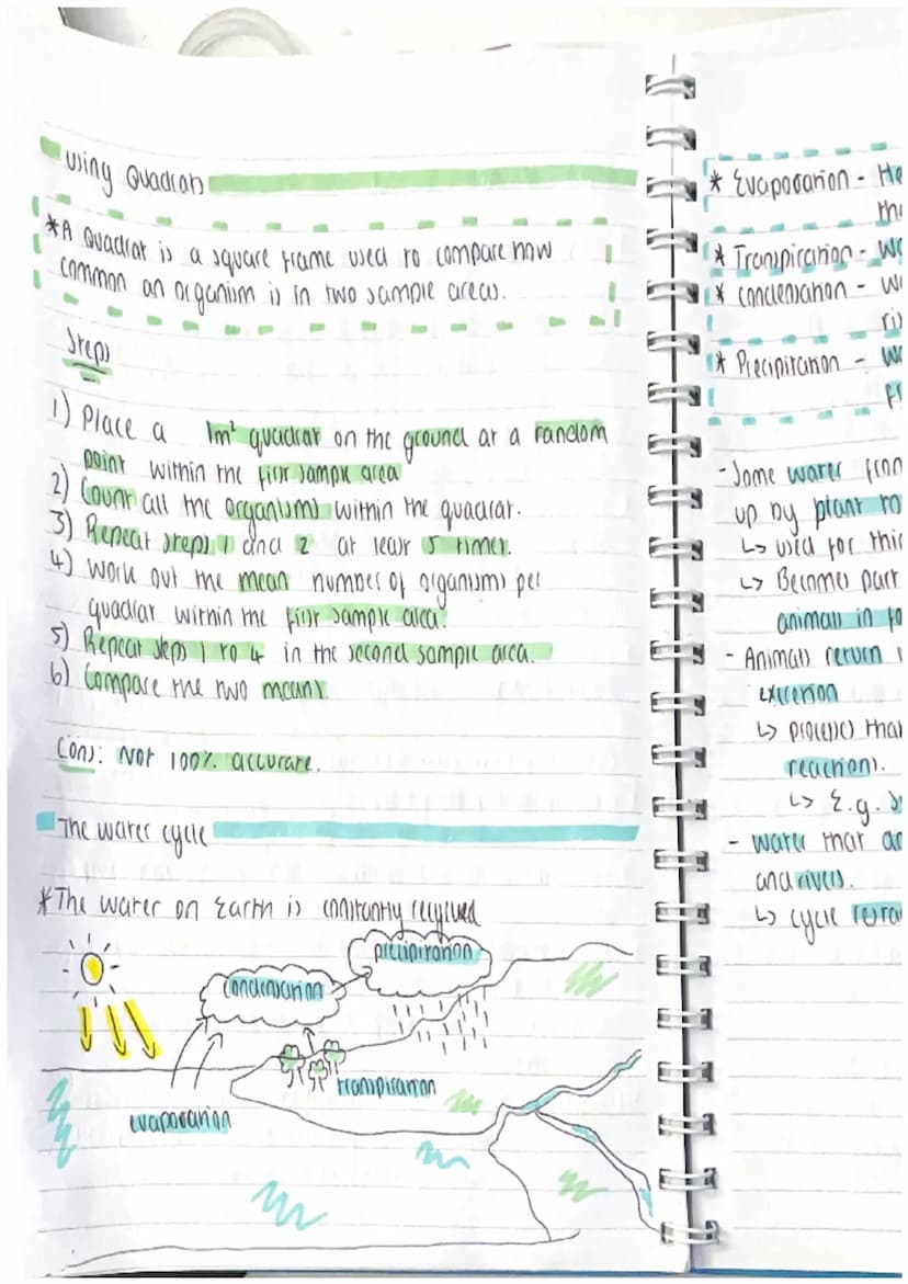 hui
he g
al wa
suse
E
4) Bio
PUP TWater
The Co
There are
2) The
amo
COO
3) The
mig
in lo
8.g.
over
bin diversity
The Earth is get
of global 