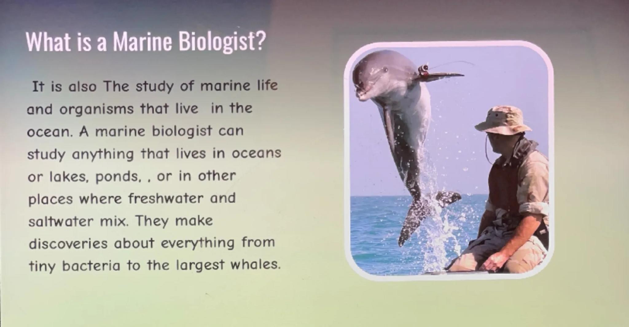 Marine Biologist What is a Marine Biologist?
Marine biologists study biological ocean photographs. Marine biology is a
very broad area, so m