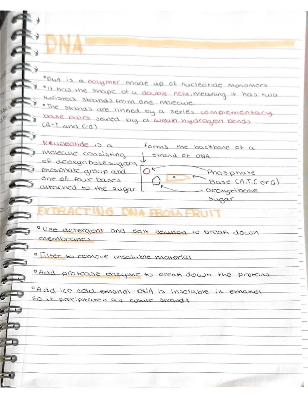 Science | Biology 