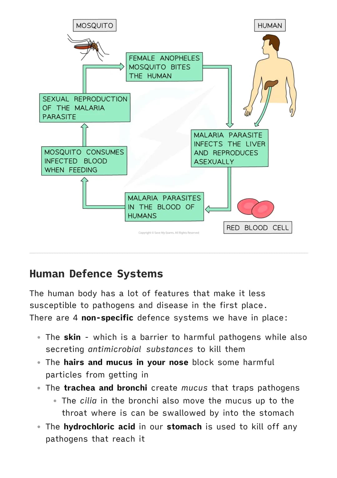 1.3.1 Communicable Diseases
Biology MOC
Communicable Diseases
Pathogens are the microorganisms that enter the body and cause
disease. There 