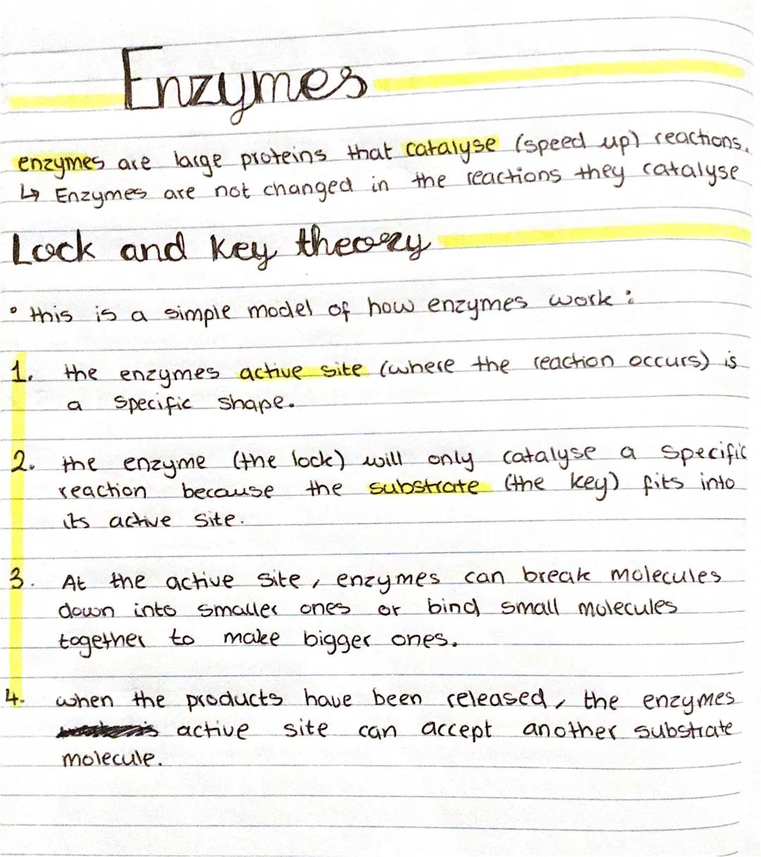 # Enzymes

enzymes are large proteins that catalyse (speed up) reactions.
↳ Enzymes are not changed in the reactions they catalyse

# Lock a