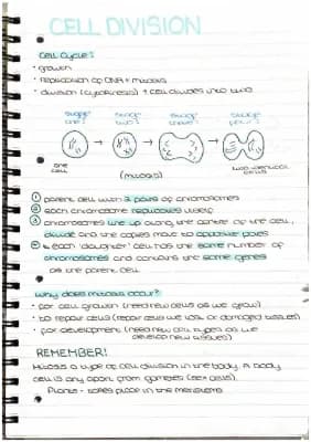 Know cell division and stem cells thumbnail