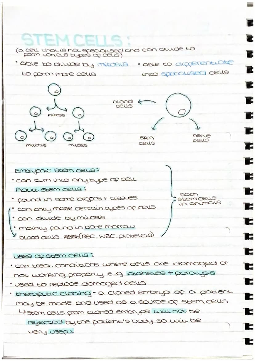 CELL DIVISION
cell cycle:
• growth
4
replication of DNA + mitosis
division (cytokinesis) + cell divides into two
stage
one
cell
برم
stage
(8
