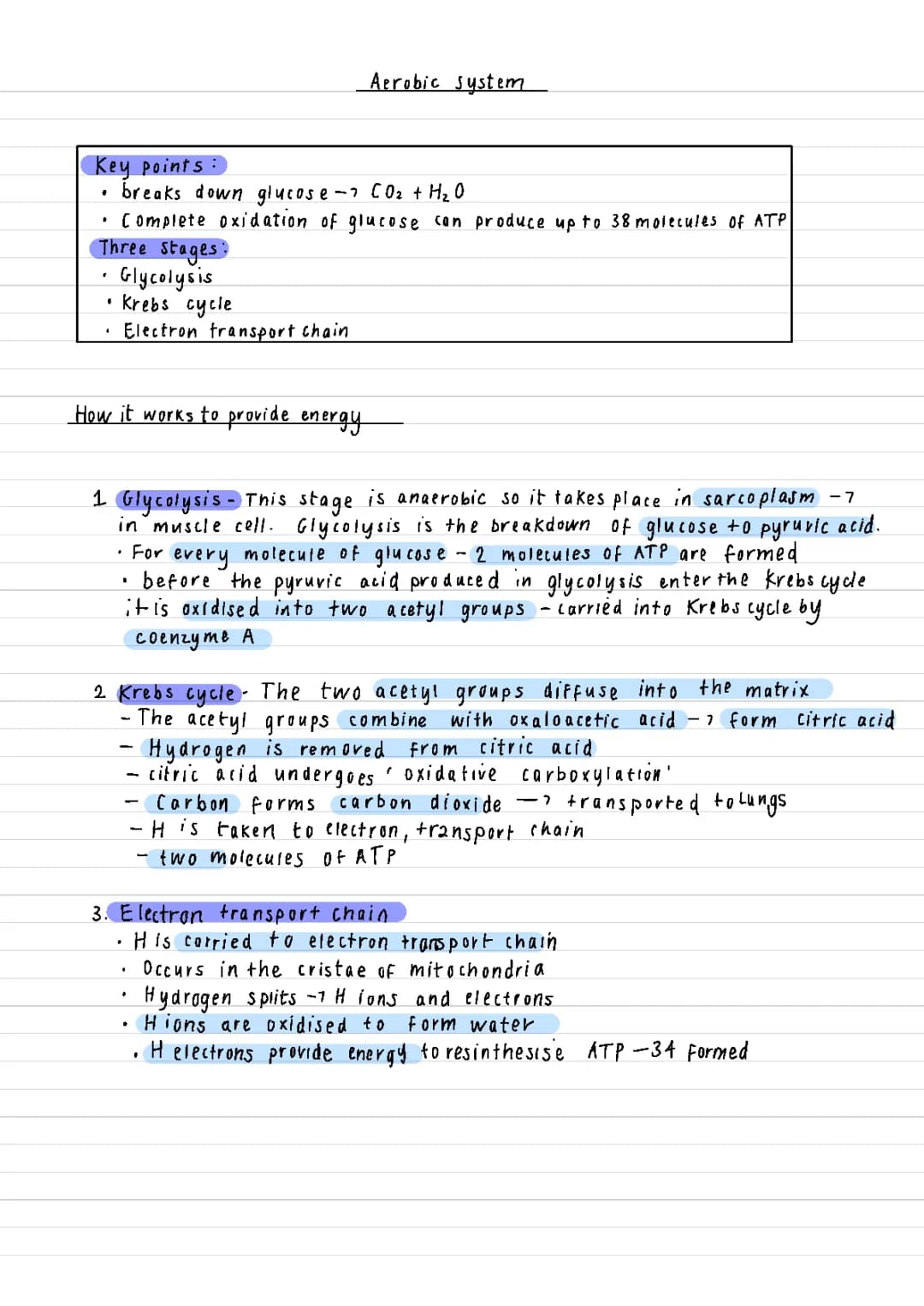 Aerobic energy system AQA A level PE