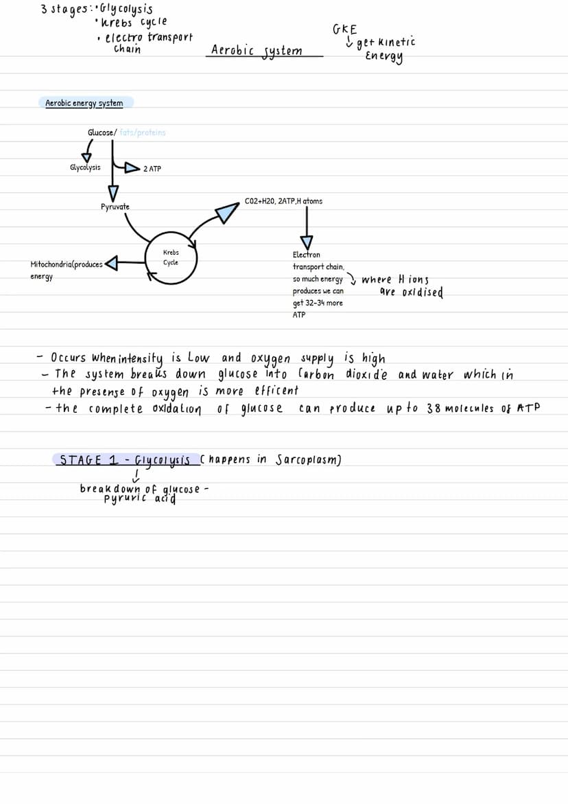 Key points:
.
Three stages.
Glycolysis
Krebs cycle
Electron transport chain.
.
breaks down glucose -> CO₂ + H₂O
Complete oxidation of glucos