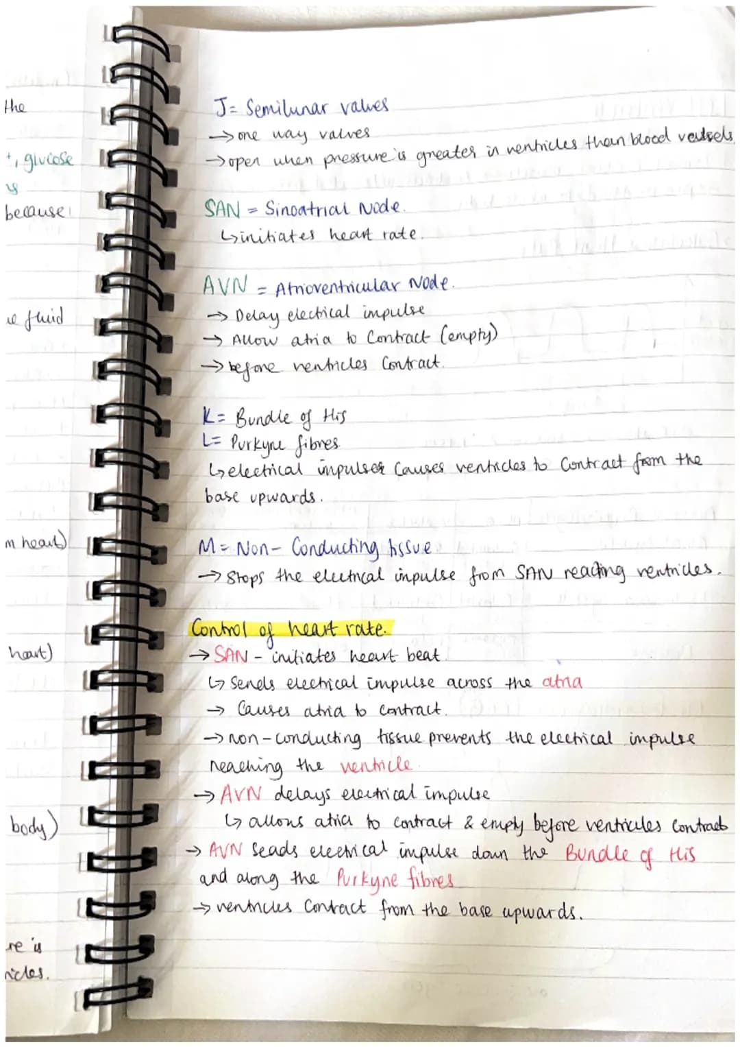 TRANSPORT IN ANIMALS. 3.1.2.
Blood vessels.
Arteries
elastic
tissue
thick
layer of
muscle
Veins
wide
lumen
O
Capillanes
endothelim l
Cell th