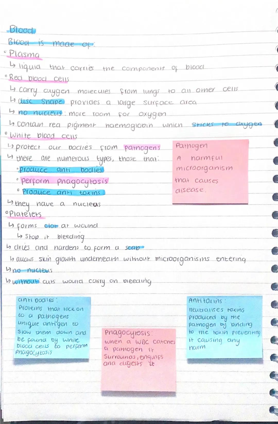 Blood
Blood is made of:
Plasma
↳ liquid that carries
• Red blood cells
the components of blood
4 carry oxygen molecules
from lungs to all ot