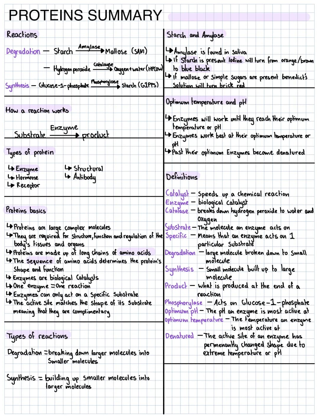 PROTEINS SUMMARY
Reactions
Degradation - Starch Amylase Maltose (SAM)
Hydrogen peroxide
• Oxygen + water (HPCOW)
Synthesis Glucose-1-phospha