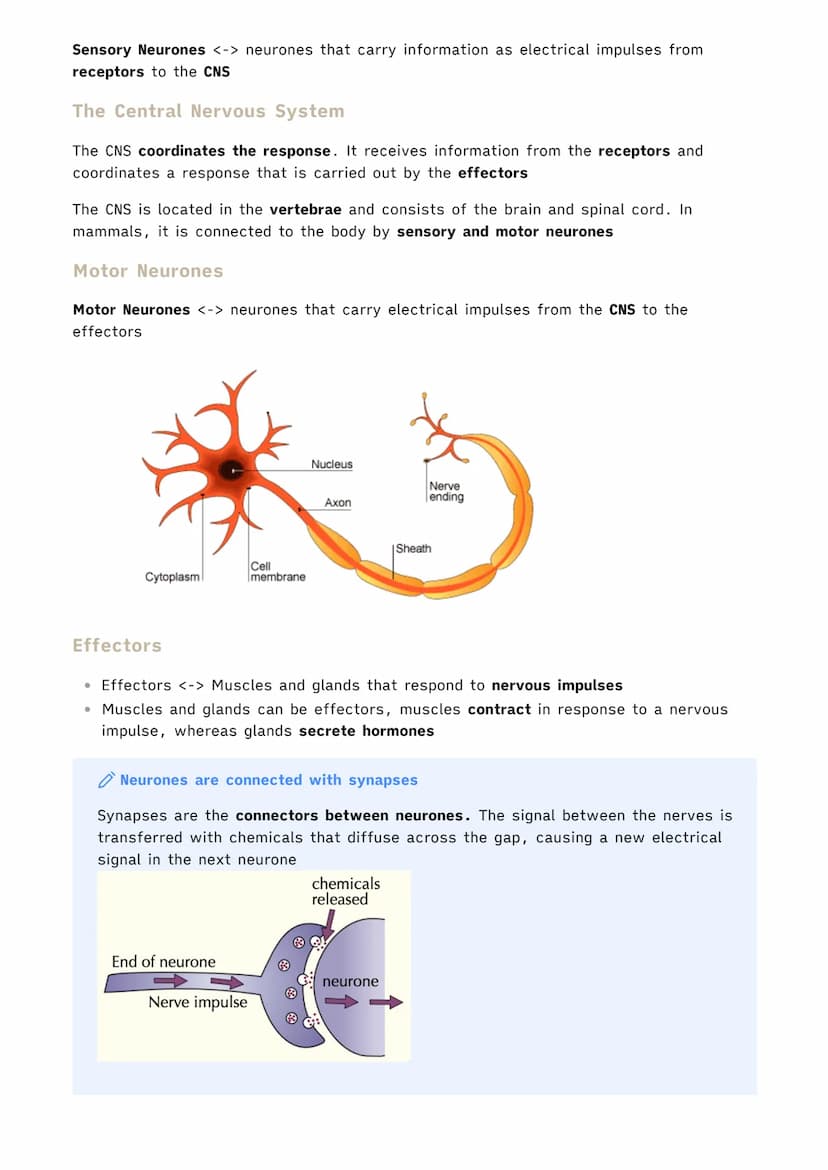
<p>Organisms need to respond to stimuli in order to survive. In single-celled organisms, this is a simple process of responding to their en