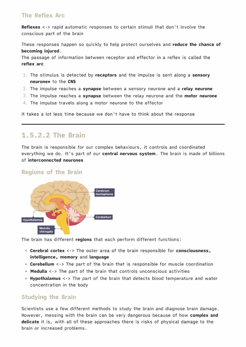 
<p>Organisms need to respond to stimuli in order to survive. In single-celled organisms, this is a simple process of responding to their en