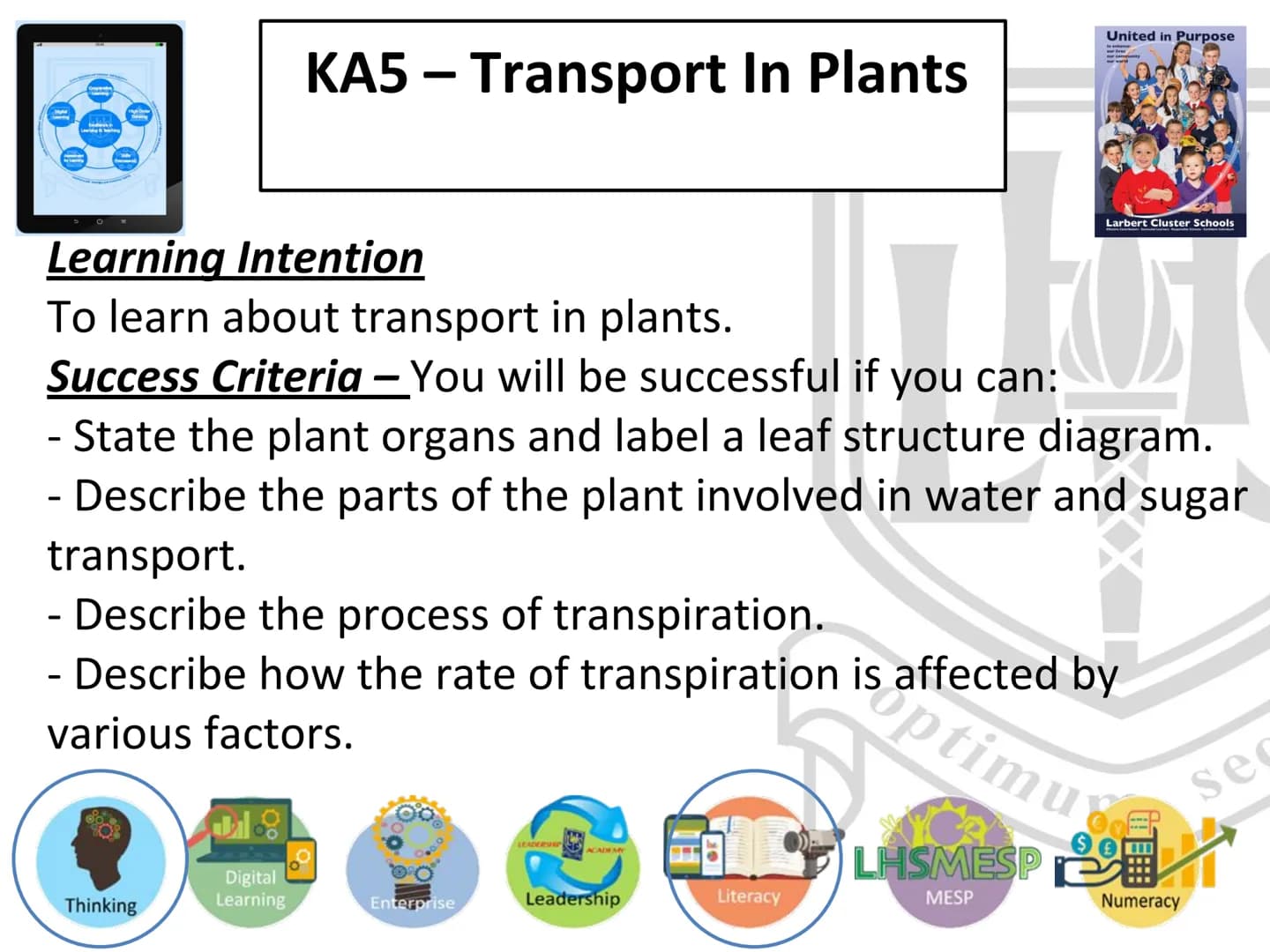 N5 Unit 2 KA5
Transport In Plants N5 biology course
1. Cell Biology
2.
3. Life on Earth
Multicellular Organisms Unit 2 - Multicellular organ